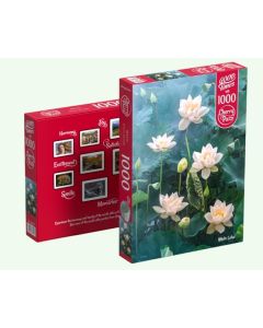 Rompecabezas de 1000 pzas